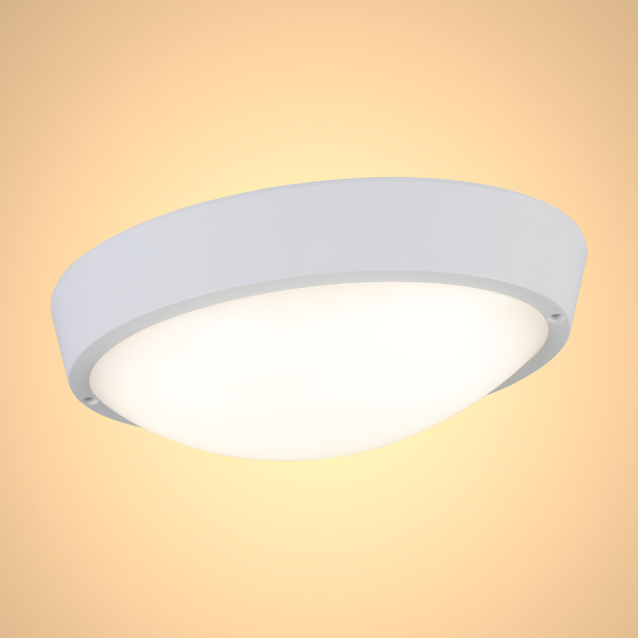 Герметичные светильник Oval LED FDD200 15W WHITE 4000K IP65 - фото 1 - id-p113844082