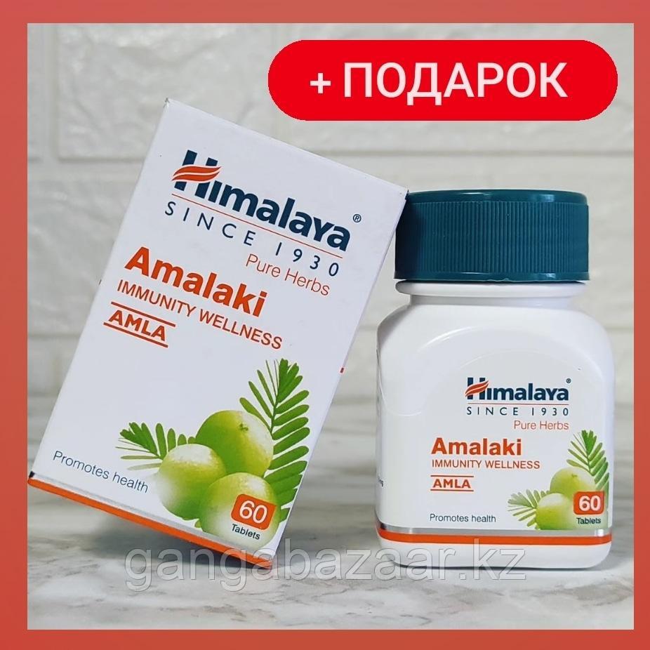 Амла, Амалаки (Amla, Amalaki) - укрепление иммунной системы, природный вит С, антиоксидант, 60 таб