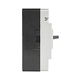 Автоматический выключатель iPower ВА55-100 3Р 100А, фото 3