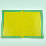 Клеевая ловушка книжка для грызунов  (100 шт), фото 4