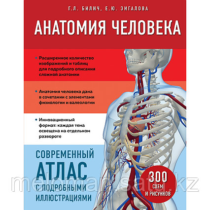 Билич Г. Л., Зигалова Е. Ю.: Анатомия человека. Современный атлас с подробными иллюстрациями