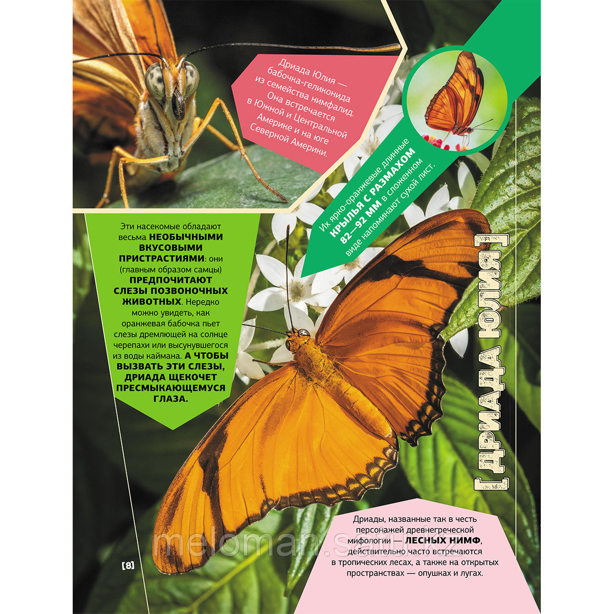 Большая энциклопедия о насекомых. 500 фотографий и фактов - фото 8 - id-p113869041
