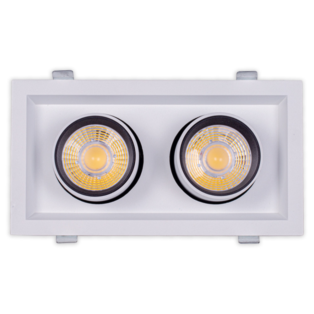 Свет-к DOWNLIGHT LED DURBUN 2*10W 4000K WHITE )