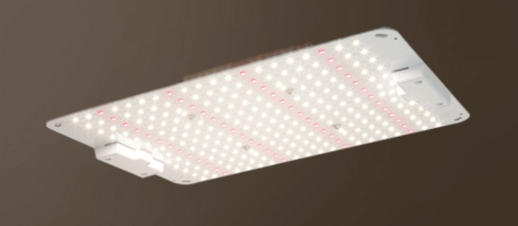 Win Light CN  100W (Full Spectrum), фото 1