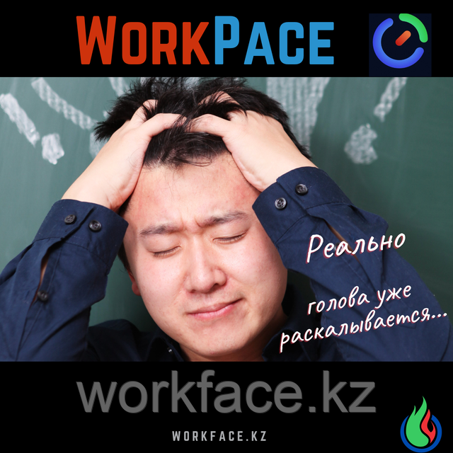 WorkPace с Face ID для индивидуальных предпринимателей