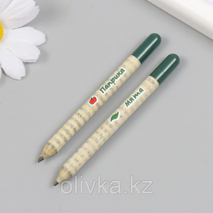Растущие подарочные карандаши mini "Мята и Паприка" набор 2 шт - фото 4 - id-p113959363