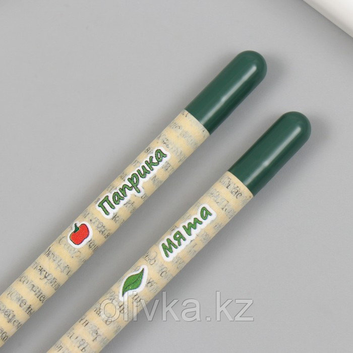 Растущие подарочные карандаши mini "Мята и Паприка" набор 2 шт - фото 5 - id-p113959363
