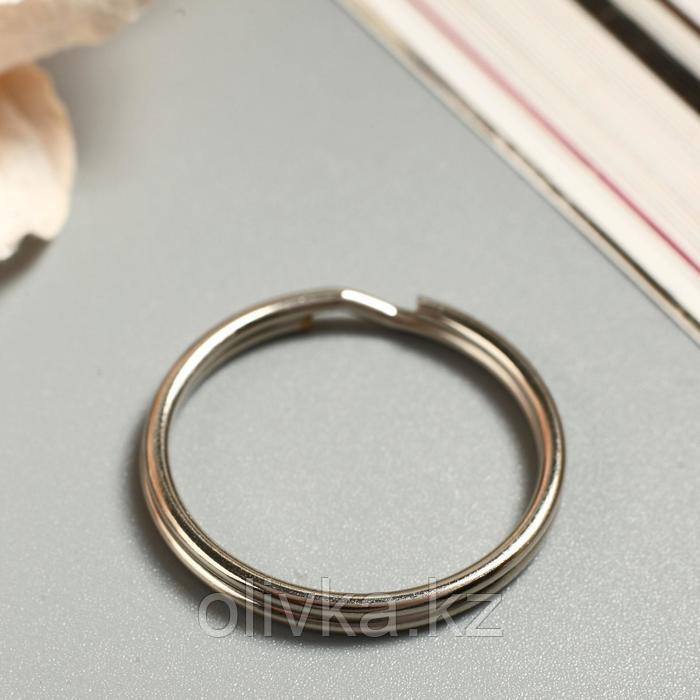 Основа для брелока кольцо металл серебро 2,5х2,5 см - фото 2 - id-p113946571