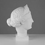 Гипсовая фигура Голова Венеры Капуа (с кокошником) 20,5 х 29 х 40 см, фото 2