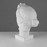 Гипсовая фигура Голова Венеры Капуа (с кокошником) 20,5 х 29 х 40 см, фото 3