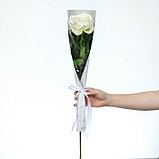 Пакет для цветов с вкладышем «Present for you», паттерн, фото 3