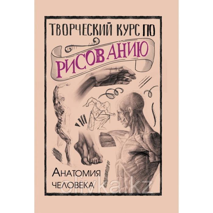 Творческий курс по рисованию. Анатомия человека. Грей М. - фото 1 - id-p113948384