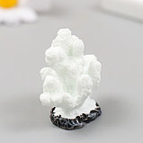 Фигурка для флорариума полистоун "Коралловый пальчик" белая 4,6х4,1 см, фото 2