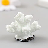 Фигурка для флорариума полистоун "Коралловый пальчик" белая 4,6х4,1 см, фото 3