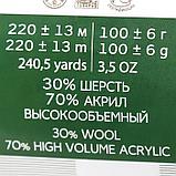 Пряжа "Народная" 30% шерсть, 70% акрил объёмный 220м/100гр (42-Слива), фото 6