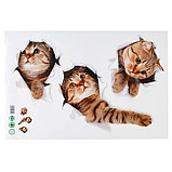 Наклейка 3Д интерьерная Кошки 60*40см, фото 2