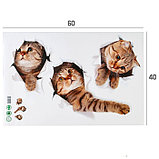 Наклейка 3Д интерьерная Кошки 60*40см, фото 3