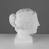 Гипсовая фигура Голова Венеры Милосской, 22 х 32 х 35 см, фото 2