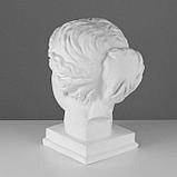 Гипсовая фигура Голова Венеры Милосской, 22 х 32 х 35 см, фото 3