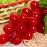 Муляж "Виноград глянец" 36 ягод 14 см, микс, фото 3