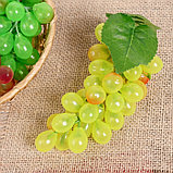 Муляж "Виноград глянец" 36 ягод 14 см, микс, фото 6