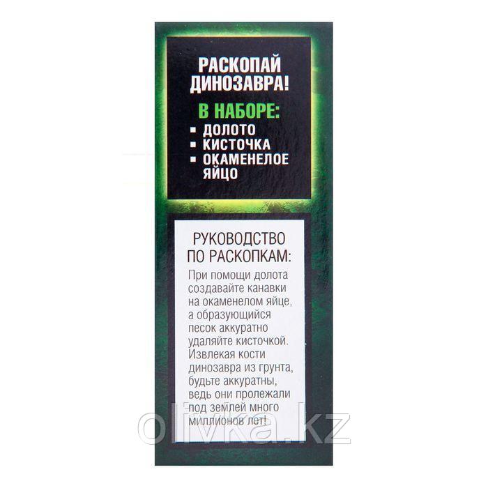 Набор археолога «Трицератопс», серия «Окаменелое яйцо динозавра» - фото 2 - id-p113946228
