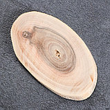 Спил дерева "Грецкого ореха", овальный, d=4-11см, h=5 мм, фото 2