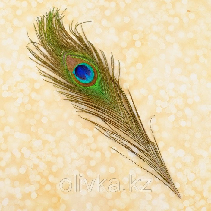 Набор перьев павлина для декора 2 шт. - фото 4 - id-p113947016