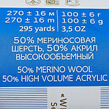 Пряжа "Перспективная" 50% мериносовая шерсть, 50% акрил объёмный 270м/100гр (06-Красный), фото 4