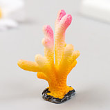Фигурка для флорариума полистоун "Монтипора пальчиковая" разноцветная 5х4,5 см, фото 2