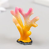 Фигурка для флорариума полистоун "Монтипора пальчиковая" разноцветная 5х4,5 см, фото 4
