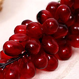 Муляж "Виноград овальный" 24 см 60 ягод, микс, фото 4