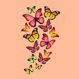Термотрансфер «Бабочки», 11 × 19,5 см, фото 3