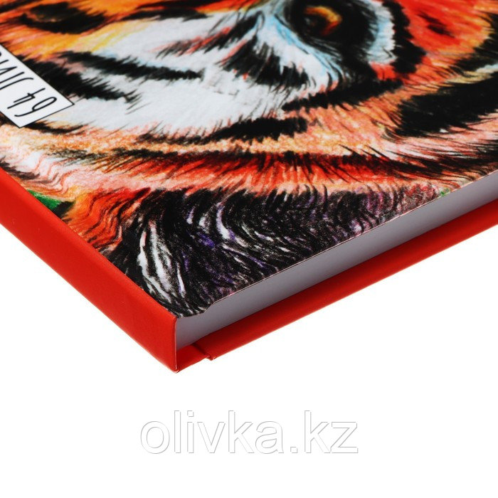 Скетчбук - альбом для творчества 205 х 300 мм, 64 листа "Тигр", твёрдая обложка на резинке, выборочный лак, - фото 4 - id-p113955032
