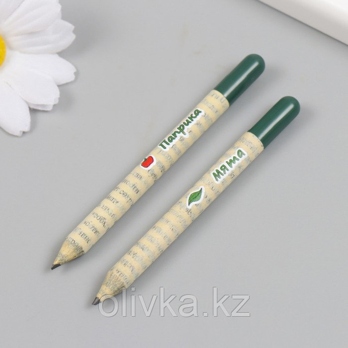 Растущие подарочные карандаши mini "Мята и Паприка" набор 2 шт - фото 4 - id-p113959641