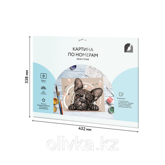 Картина по номерам на картоне 30 × 40 см «Французский бульдог», с акриловыми красками и кистями - фото 5 - id-p113958727
