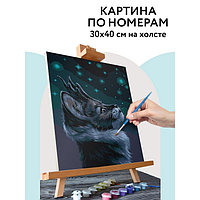 Картина по номерам на холсте 30 × 40 см «Мистический кот», с акриловыми красками и кистями