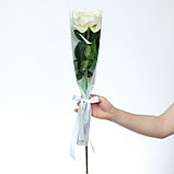 Пакет для цветов с вкладышем «Present for you», фото 3