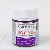 Краситель немигрирующий PRO Color, черничный, 40 г, фото 2