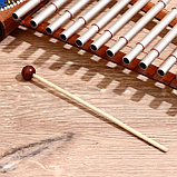 Музыкальный инструмент "Ксилофон", МИКС 33,5х19,5х6 см, фото 3