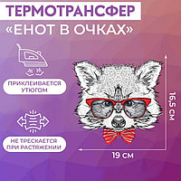 Термотрансфер «Енот в очках», 16,5 × 19 см