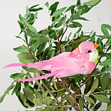 Птичка для декора и флористики, на прищепке, МИКС, пластиковая, 1шт., 8 х 8 см, фото 4