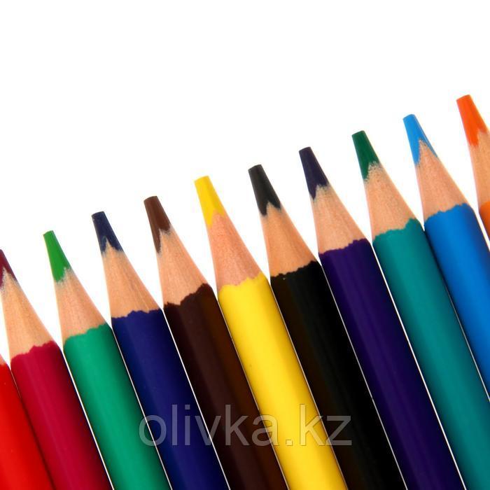 Карандаши 12 цветов FunColor, пластиковые, трёхгранные, МИКС - фото 4 - id-p113947253