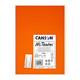 Бумага для пастели Mi-Teintes CANSON, 21 х 29.7 см, 1 лист, №553 Кадмий желтый, 160 г/м2, фото 4