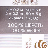 Шерсть для валяния 100% полутонкая шерсть 50гр (163 миндаль), фото 4