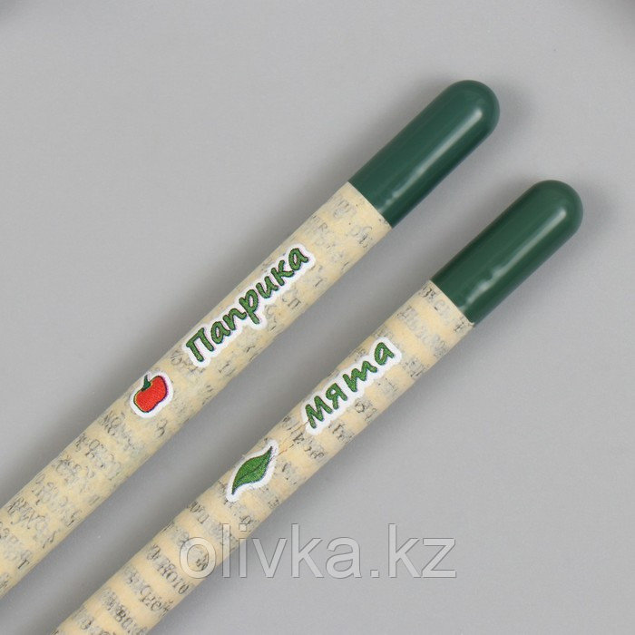 Растущие подарочные карандаши mini "Мята и Паприка" набор 2 шт - фото 5 - id-p113959842