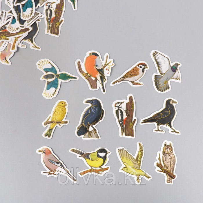 Наклейки для творчества "Городские и лесные птицы" тиснение золото набор 48 шт 9х7х0,8 см - фото 1 - id-p113955248