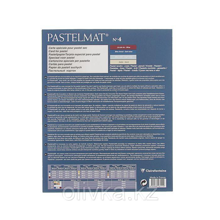 Альбом для пастели В4 240*300 мм Clairefontaine Pastelmat 12 листов склейка 360 г/м2, 4 цвета 96111С - фото 4 - id-p113946327