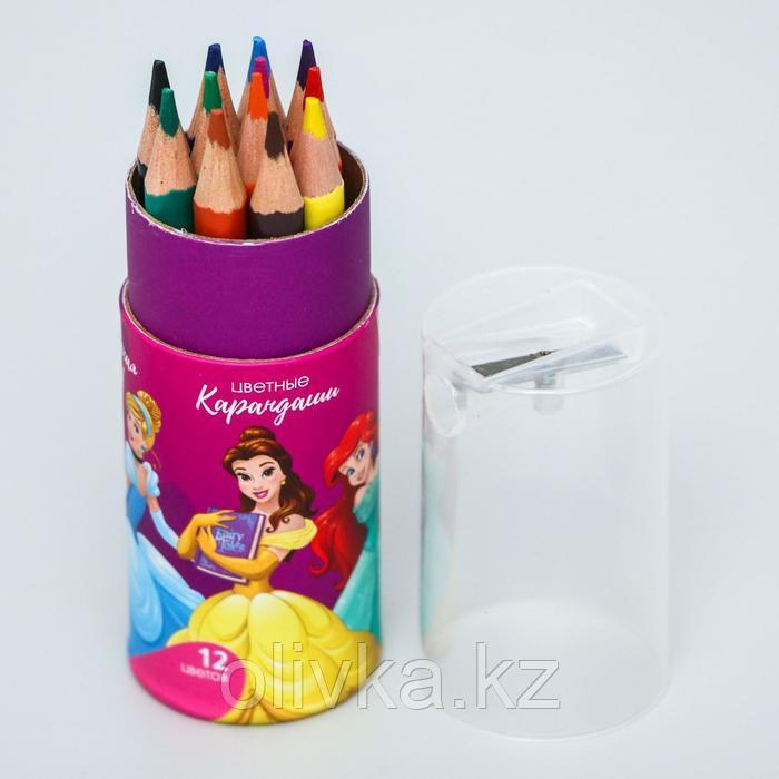 Карандаши цветные с точилкой в тубусе МИНИ, 12 цветов, "Принцессы Дисней", Принцессы - фото 4 - id-p113948513
