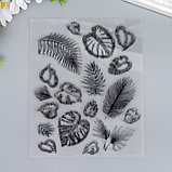 Штамп для творчества силикон "Пальмовые листья" 18х14 см, фото 3